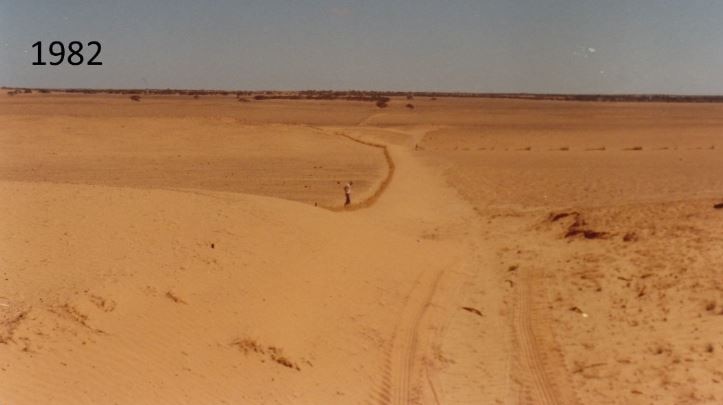 John Gladigau stands in a paddock on his farm in 1982, Loxton SA.