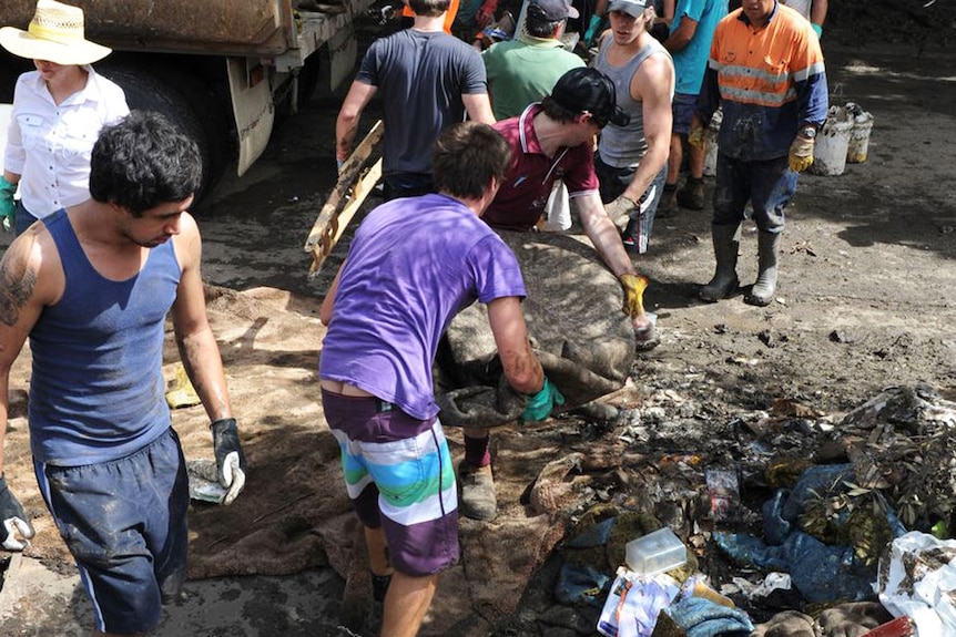 Volunteers help with the clean-up in the suburb of Sherwood in Brisbane on January 16, 2011.