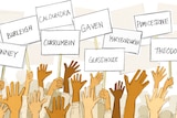 A drawing with hands reaching up to placards with the names of state electorates on them.