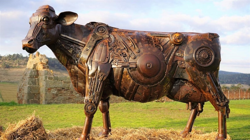 A full size dairy cow made from scrap metal stands side on to the camera