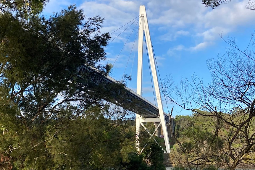 Looking up at the Batman Bridge over the Tamar River in northern Tasmania