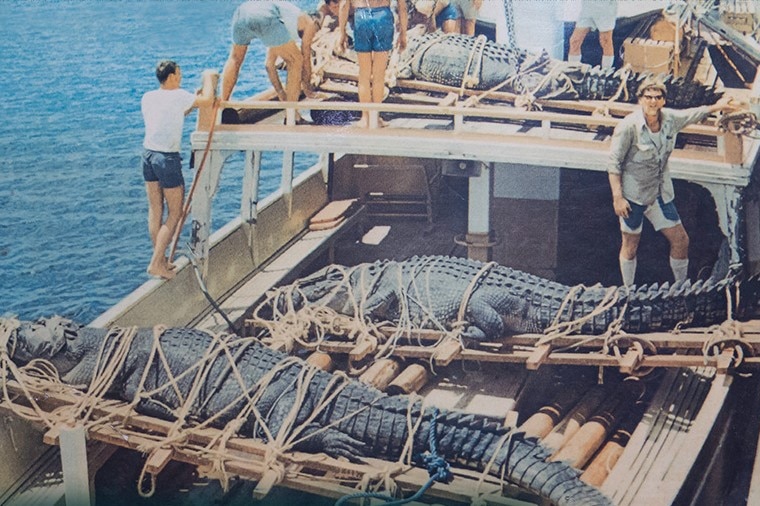 Boat with three large crocodiles on the deck tied up with rope.