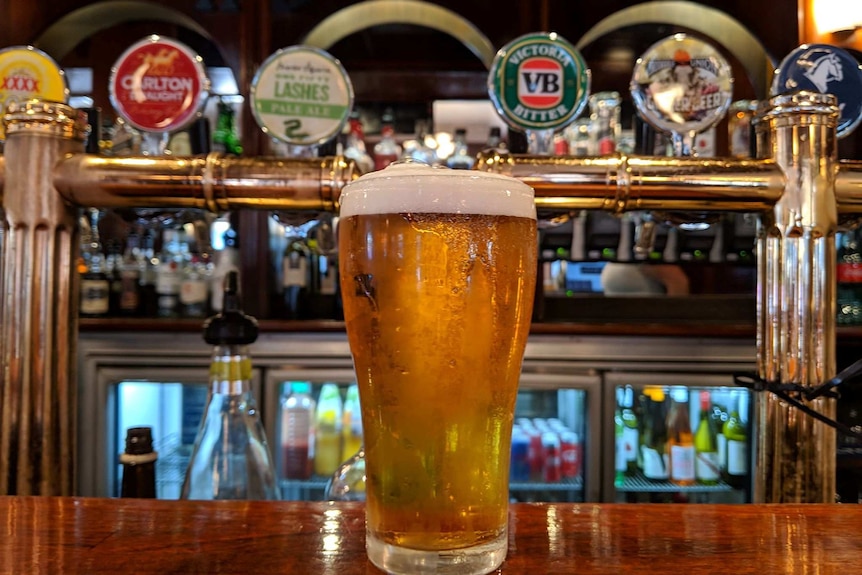 Beer on bar top.