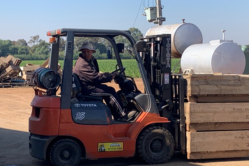 A man wearing a hat sitting in a small forklift, reversing while carrying three pallets.