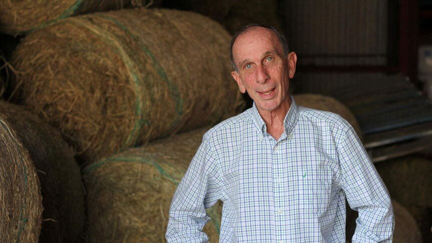 A man in a checked shirt stands in front of hay bales in a shed
