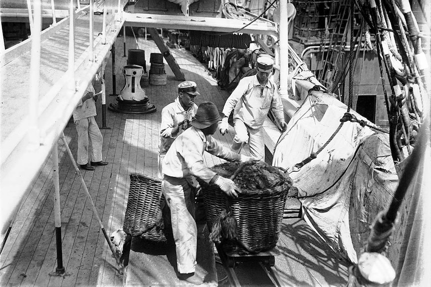 Japanese sailors loading a coal basket on board naval vessel Taisei Maru, early 20th century.