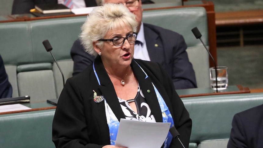 Nationals MP Michelle Landry asks a question during Question Time, wearing glasses and a blue scarf.