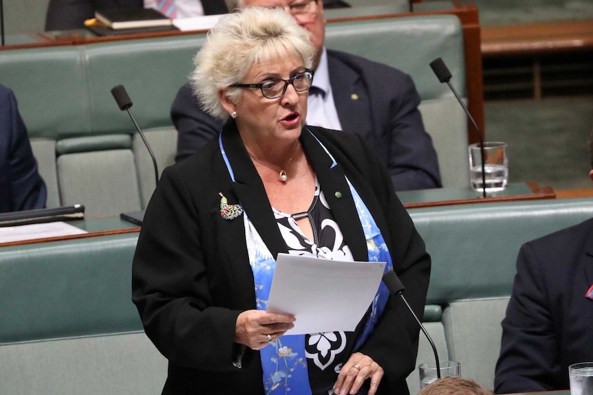 Nationals MP Michelle Landry asks a question during Question Time, wearing glasses and a blue scarf.