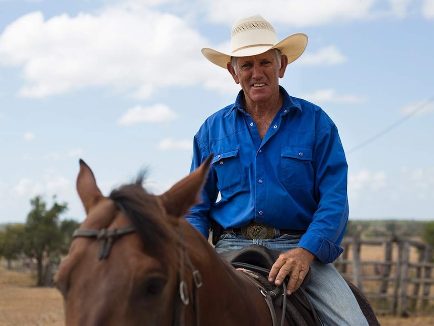 A man wearing a blue shirt and cowboy hat, sits on a horse with blue sky and clouds in the background