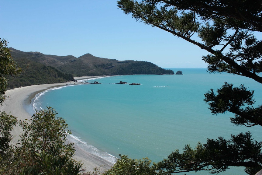 Picture of ocean and beach from Cape Hillsborough look out