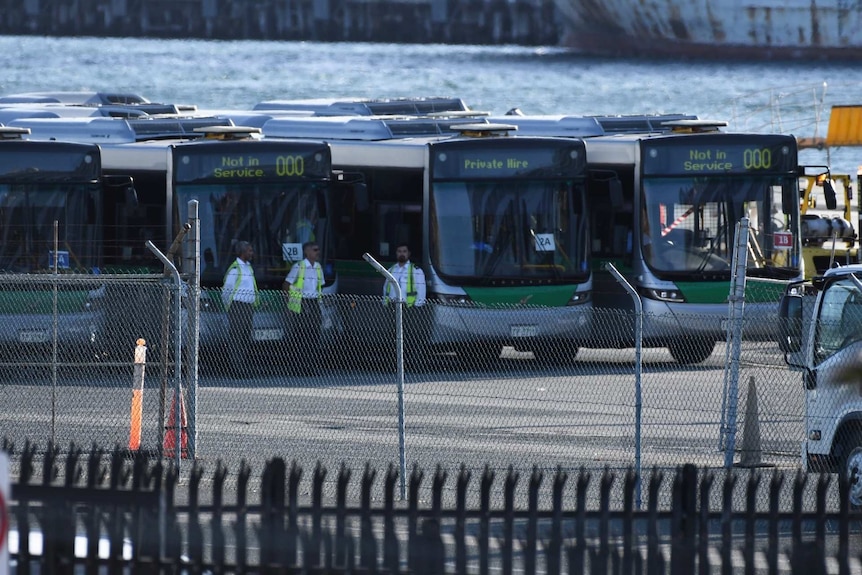 A fleet of Transperth buses at Fremantle Port