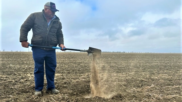  A man stands in dry paddock with a shovel that has dry earth pouring from it.