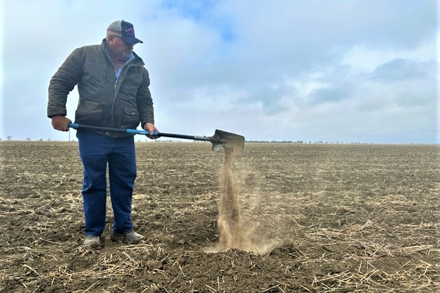  A man stands in dry paddock with a shovel that has dry earth pouring from it.