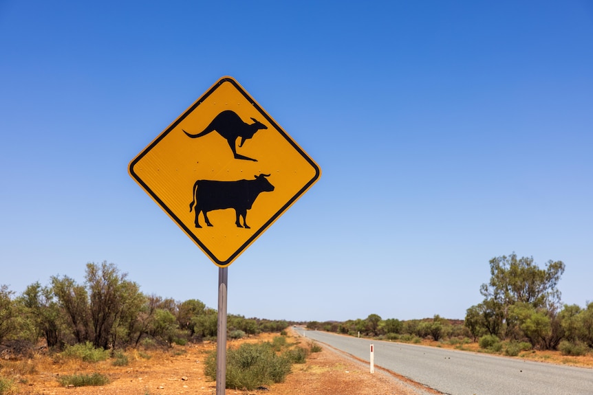 A road sign warning about cattle and kangaroos.  