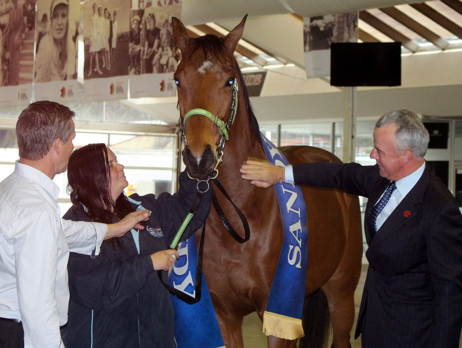 Sandy Young Canberra gelding the new namesake of only horse who came home from World War I
