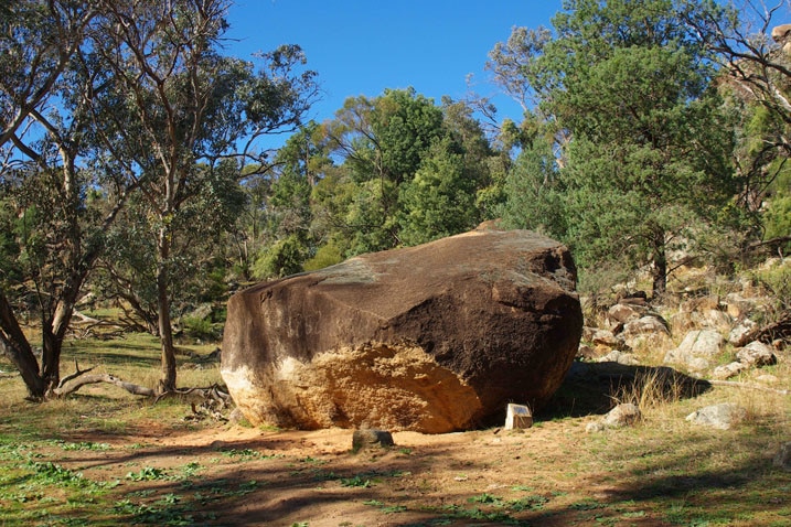 A landscape picture of a large granite boulder surrounded by bushland near Eugowra in NSW.