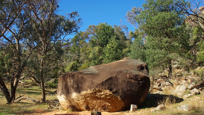 A landscape picture of a large granite boulder surrounded by bushland near Eugowra in NSW.