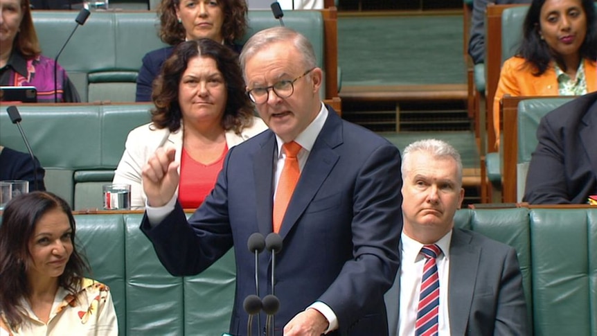 Prime Minister Anthony Albanese stands behind the despatch box as he speaks to parliament, with ALP colleagues behind him