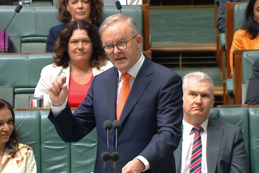 PM Anthony Albanese condemns Scott Morrison's 'hubris, arrogance and denial'