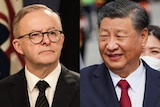 Anthony Albanese Xi Jinping composite