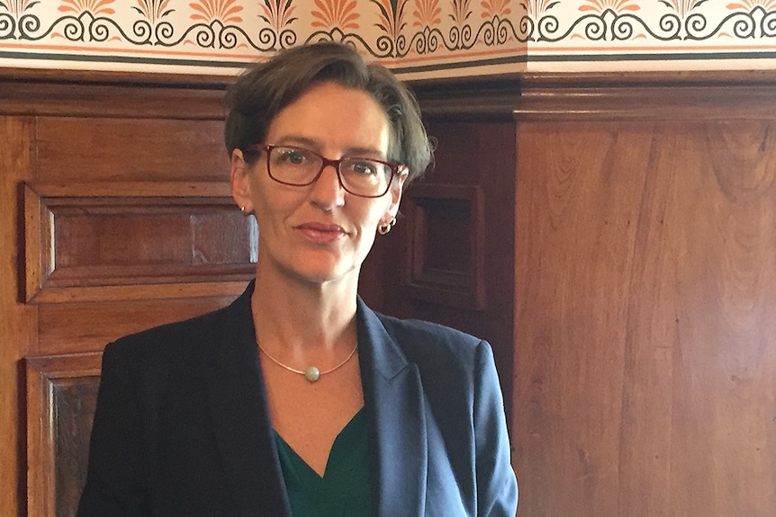 Greens Leader Cassy O'Connor stands in Parliament House Long Room.