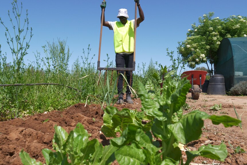 A man ploughing soil with a high-vis jacket on