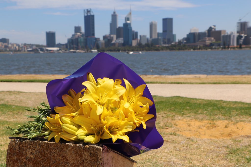 Australia Day Perth plane crash Plane's tail lifted from Swan River