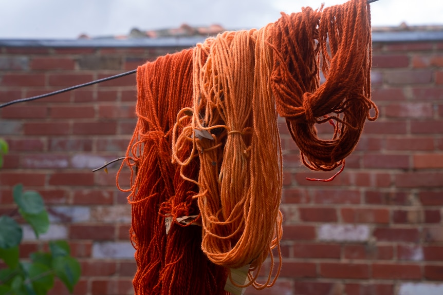 Three lots of orange wool of various shades are seen hanging on a single string in what appears to be a backyard.