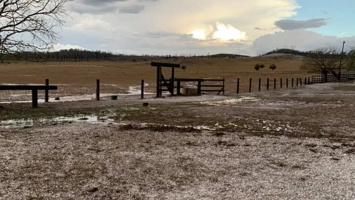 A landscape shot of a paddock that has been covered in hail. Clouds are clearing in the sky.