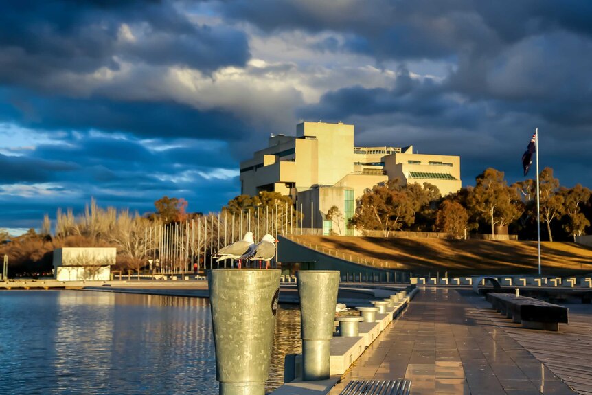 The High Court on the shores of Lake Burley Griffin. There are dark clouds over the building, and a seagull in the foreground.