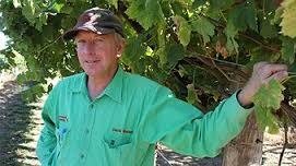 David Blackett standing in front of one of his table grape vines.