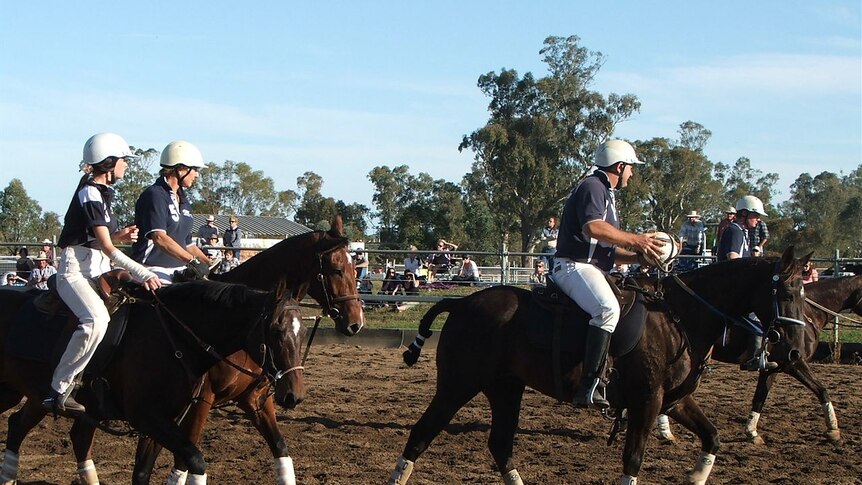 Horseball is a growing sport that combines polocrosse, basketball and rugby