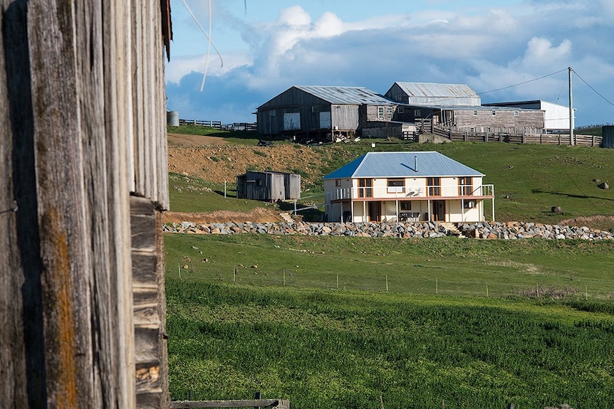 farm buildings and green grass at the parsons family property in the derwent valley tasmania