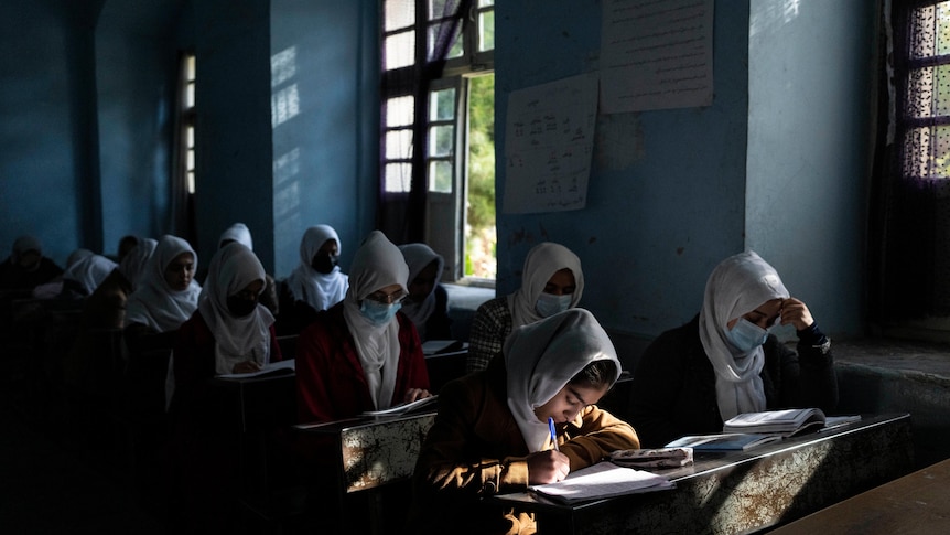 Girls sit at their desks and write in the school books. 