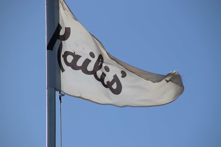 A close-up shot of white flag with Kailis' logo on it flapping in a blue sky.