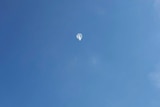 A clear balloon floats in blue sky. 