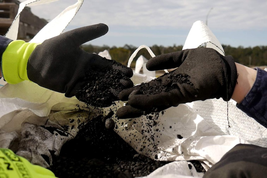 Hands dropping a black charred material