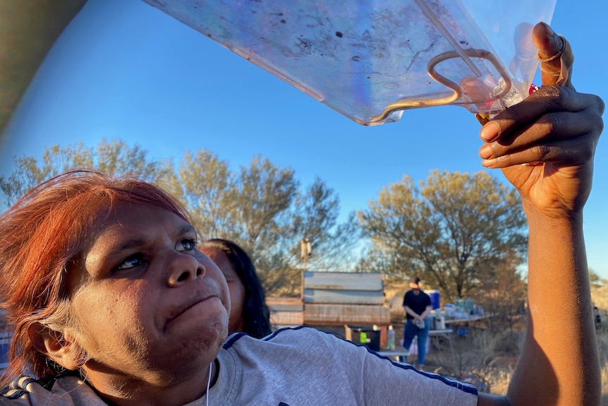 A woman holds up a glass box and examines a snake.