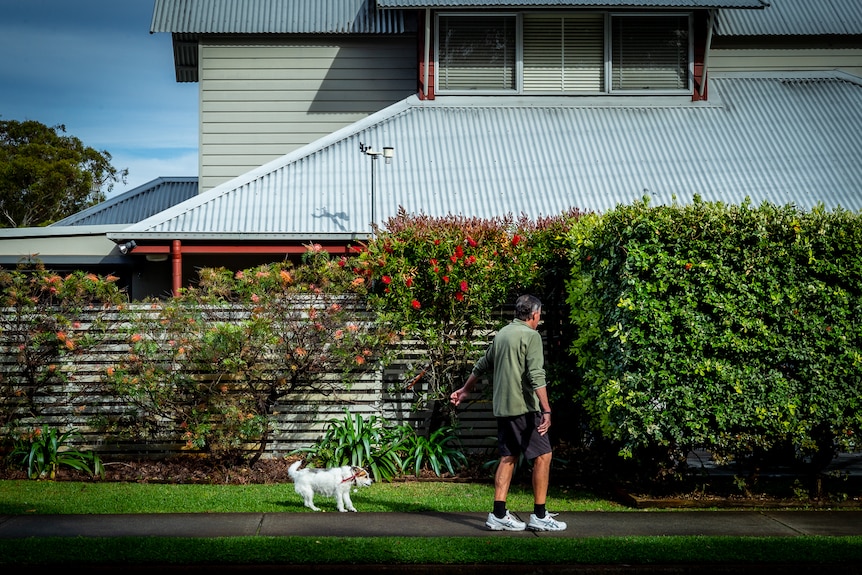 A retiree man walks his dog in Hawks Nest in front of a hedge. 