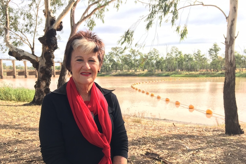 Former Balonne Shire Mayor Donna Stewart made her initial opposition to foreign ownership known.