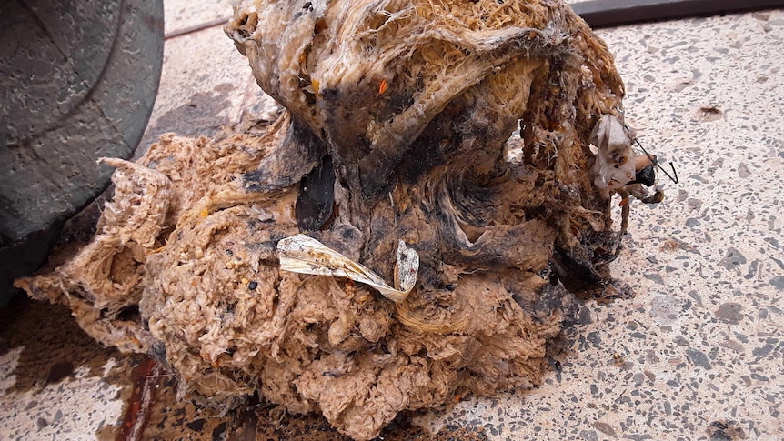 A wet wipe fatberg pulled from a drain sits on a sidewalk