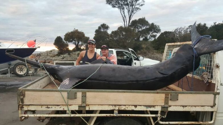 Swordfish on a truck