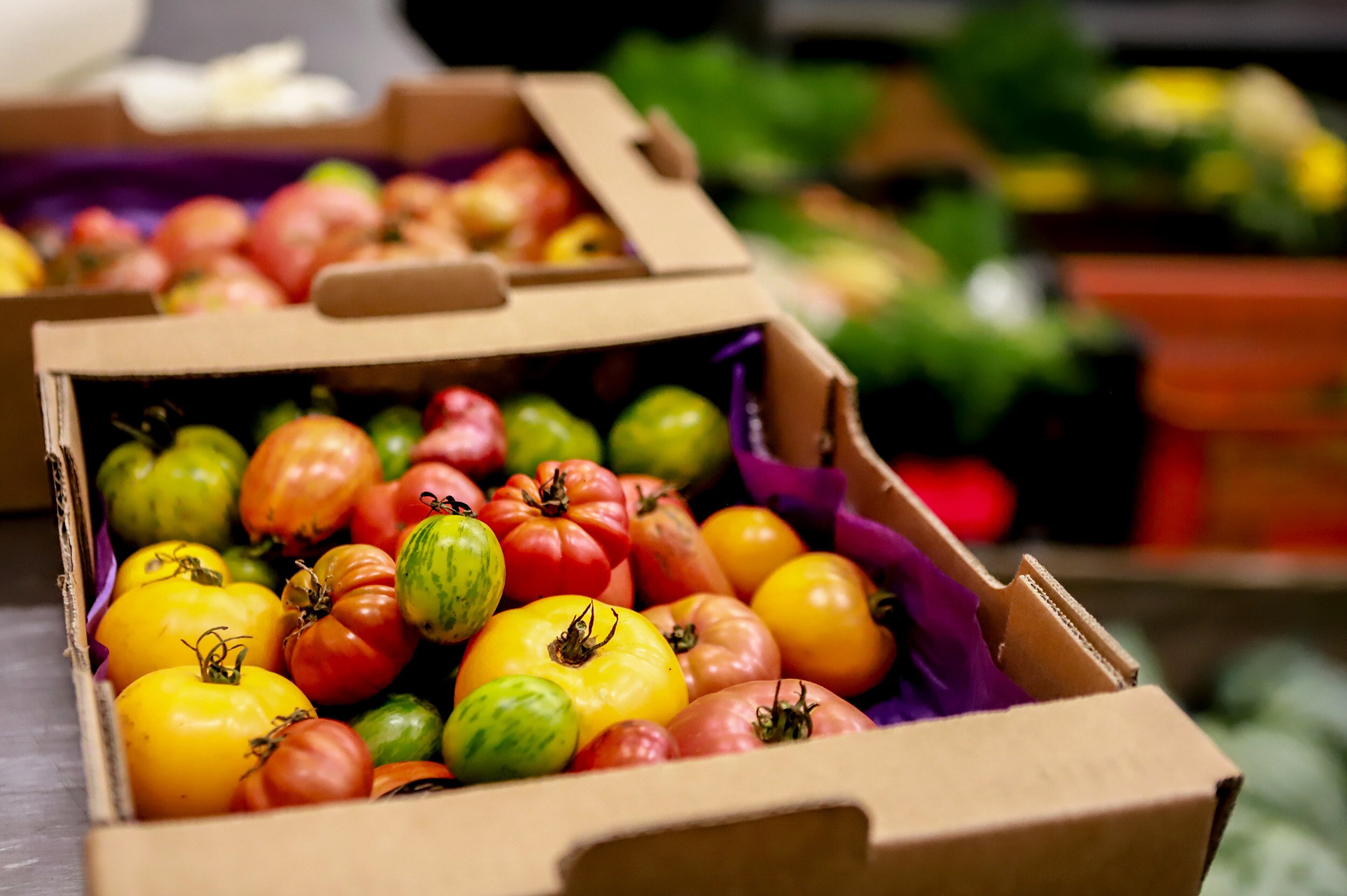 Jon Lamb calls it, ”Let the 2023 tomato-planting season begin!”