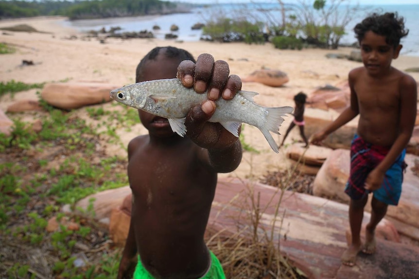 A boy holds a fish he caught at Elcho Island.