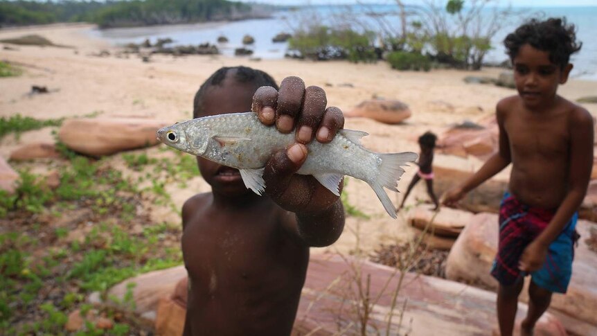 A boy holds a fish he caught at Elcho Island.