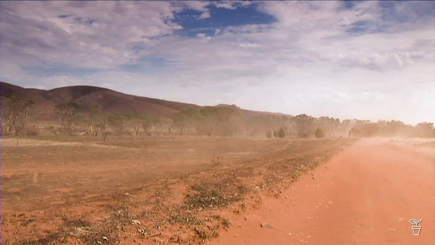 Red dust blowing in dry Australian rural landscape.