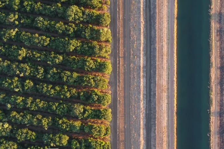 An aerial photo of a sandalwood plantation next to an irrigation channel.
