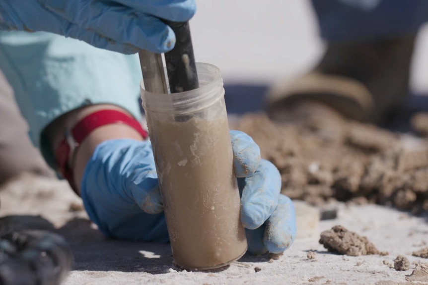 Close up of a water sample