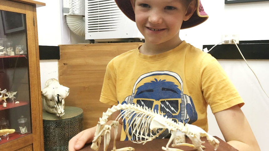 A child holds a small animal skeleton