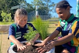 Kiarra-Lee Thornton and Nandee Pedro are positioned around the edge of a plant in a large pot with their hands in the soil 